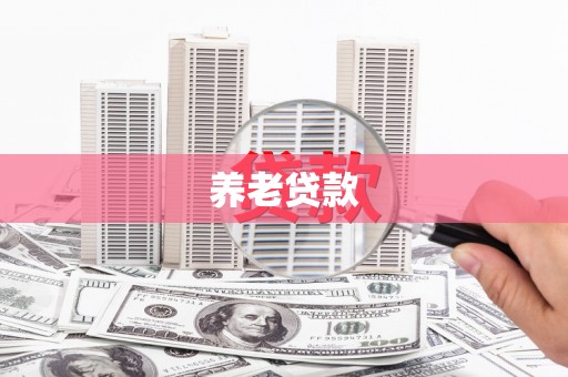 九原养老贷款