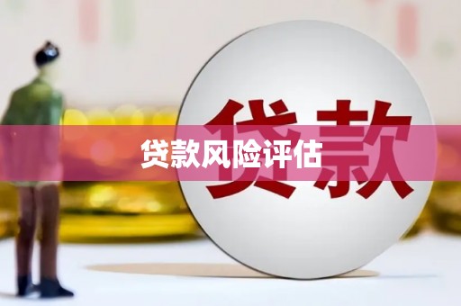 九原贷款风险评估