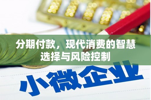 九原分期付款，现代消费的智慧选择与风险控制
