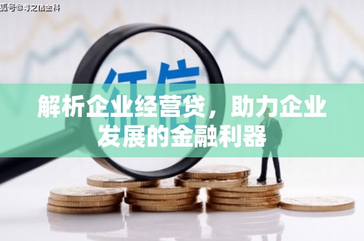 九原解析企业经营贷，助力企业发展的金融利器