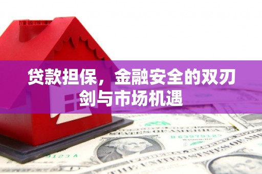九原贷款担保，金融安全的双刃剑与市场机遇