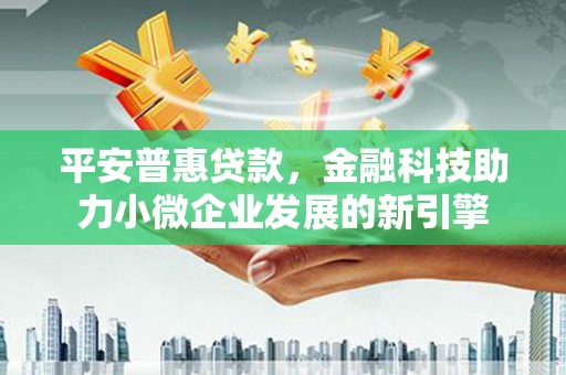 九原平安普惠贷款，金融科技助力小微企业发展的新引擎