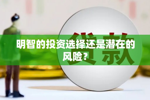 九原明智的投资选择还是潜在的风险？