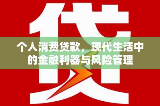 九原个人消费贷款，现代生活中的金融利器与风险管理