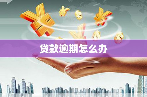 九原贷款逾期怎么办