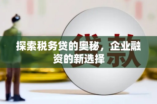 九原探索税务贷的奥秘，企业融资的新选择