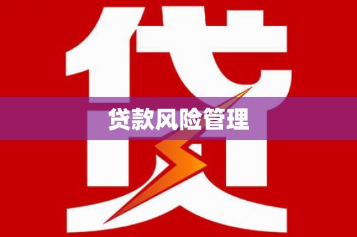 九原贷款风险管理