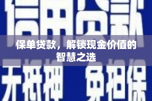 九原保单贷款，解锁现金价值的智慧之选