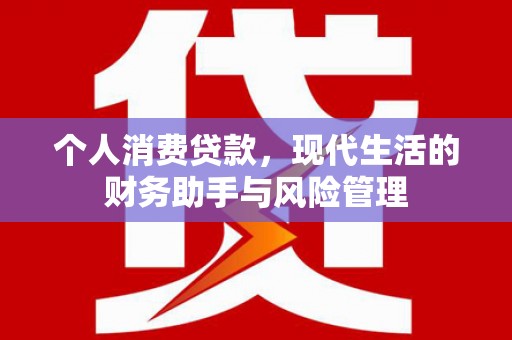 九原个人消费贷款，现代生活的财务助手与风险管理