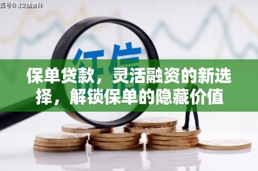 九原保单贷款，灵活融资的新选择，解锁保单的隐藏价值