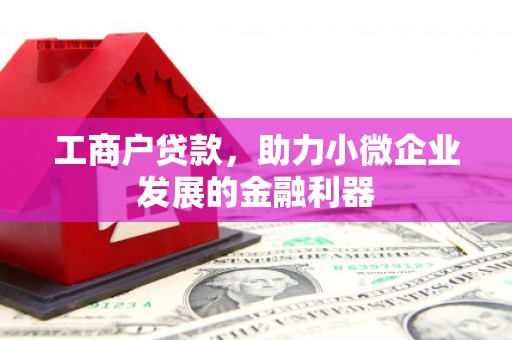 九原工商户贷款，助力小微企业发展的金融利器