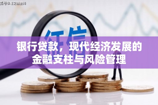 九原银行贷款，现代经济发展的金融支柱与风险管理