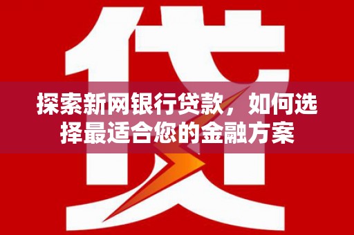 九原探索新网银行贷款，如何选择最适合您的金融方案