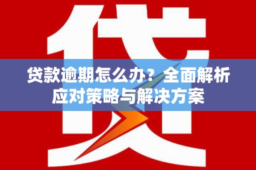 九原贷款逾期怎么办？全面解析应对策略与解决方案