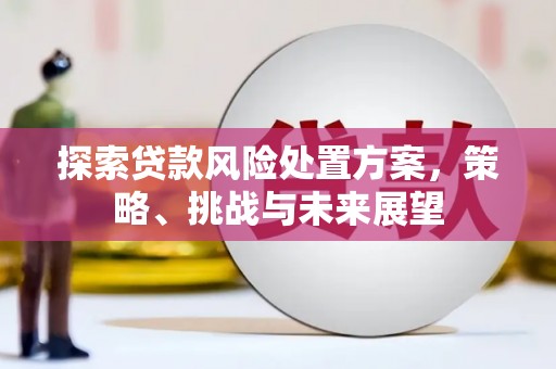九原探索贷款风险处置方案，策略、挑战与未来展望