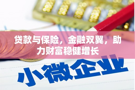九原贷款与保险，金融双翼，助力财富稳健增长