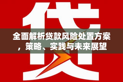 九原全面解析贷款风险处置方案，策略、实践与未来展望