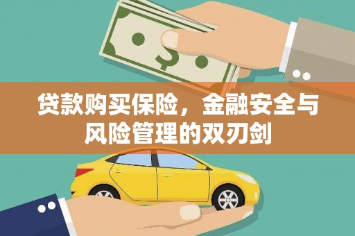 九原贷款购买保险，金融安全与风险管理的双刃剑