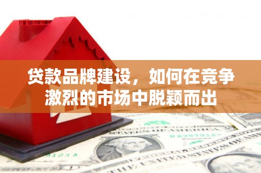九原贷款品牌建设，如何在竞争激烈的市场中脱颖而出
