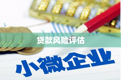 九原贷款风险评估