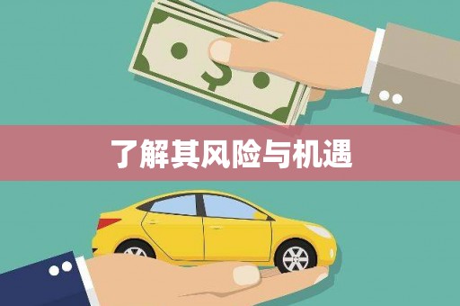 九原了解其风险与机遇