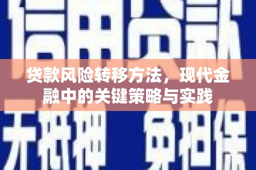 九原贷款风险转移方法，现代金融中的关键策略与实践