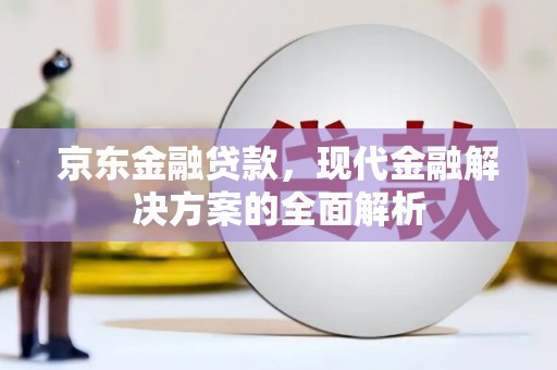 九原京东金融贷款，现代金融解决方案的全面解析