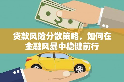 九原贷款风险分散策略，如何在金融风暴中稳健前行