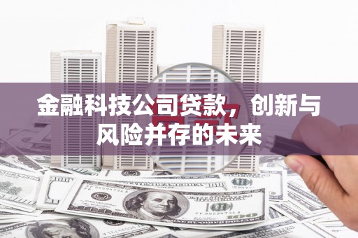 九原金融科技公司贷款，创新与风险并存的未来