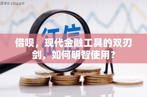 九原借呗，现代金融工具的双刃剑，如何明智使用？