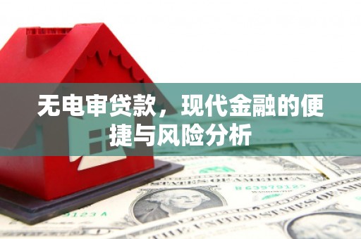 九原无电审贷款，现代金融的便捷与风险分析