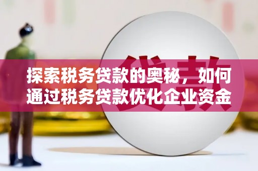 九原探索税务贷款的奥秘，如何通过税务贷款优化企业资金流
