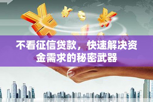 九原不看征信贷款，快速解决资金需求的秘密武器