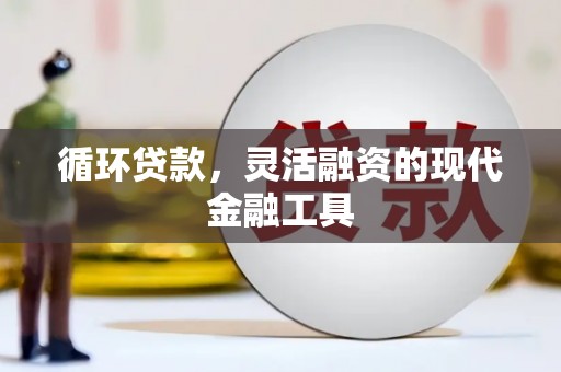 九原循环贷款，灵活融资的现代金融工具
