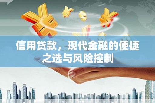 九原信用贷款，现代金融的便捷之选与风险控制