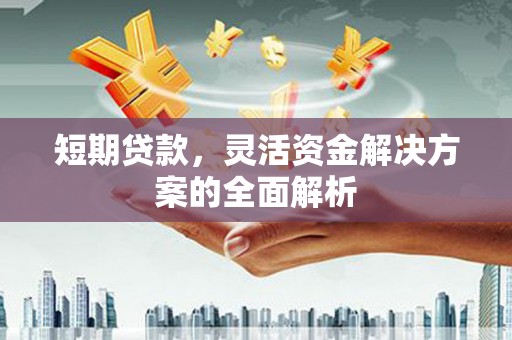 九原短期贷款，灵活资金解决方案的全面解析