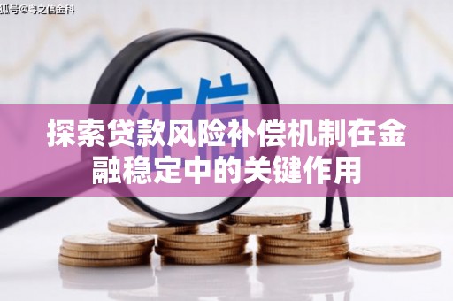 九原探索贷款风险补偿机制在金融稳定中的关键作用