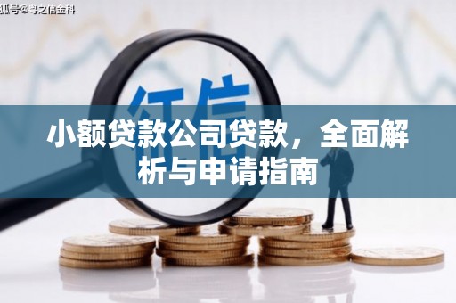 九原小额贷款公司贷款，全面解析与申请指南