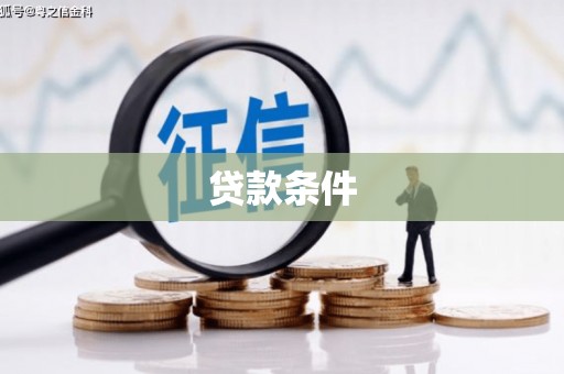 九原贷款条件
