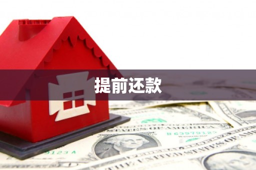 九原提前还款