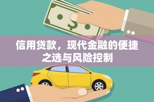 九原信用贷款，现代金融的便捷之选与风险控制