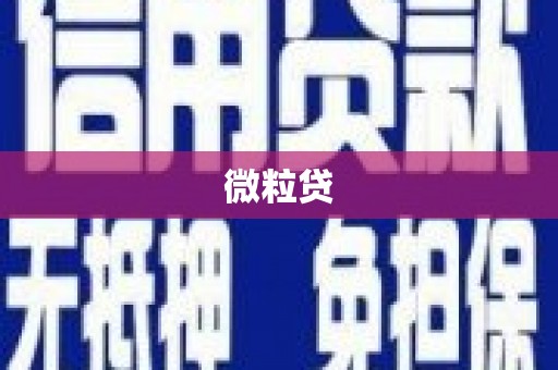 九原微粒贷