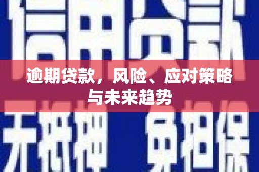 九原逾期贷款，风险、应对策略与未来趋势