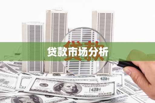 九原贷款市场分析