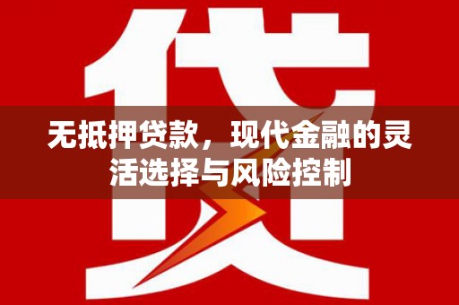 九原无抵押贷款，现代金融的灵活选择与风险控制