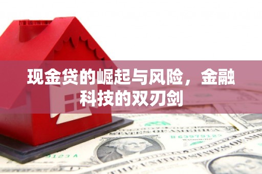 九原现金贷的崛起与风险，金融科技的双刃剑