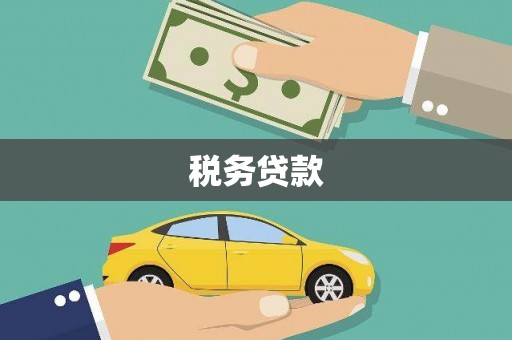 九原税务贷款