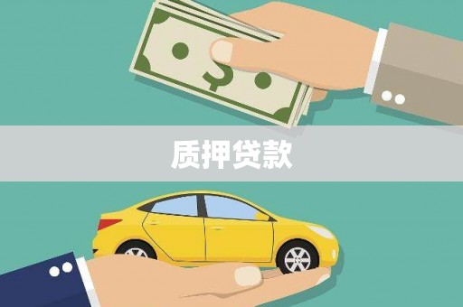 九原质押贷款