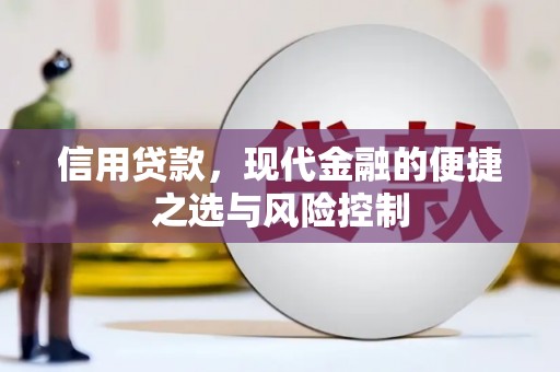 九原信用贷款，现代金融的便捷之选与风险控制