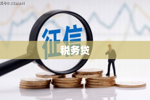 九原税务贷